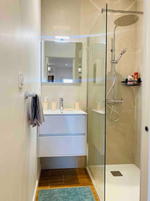 קרקסון Studio Du Chateau Climatisee מראה חיצוני תמונה